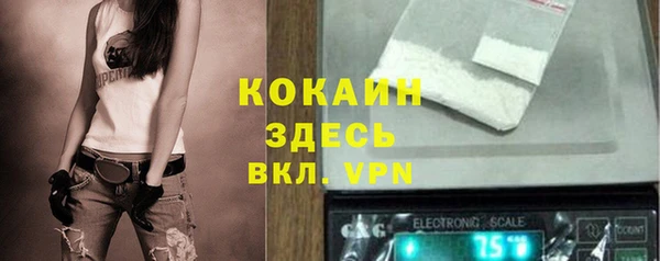 mix Пересвет